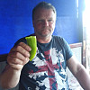 Smrcek