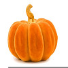LittlePumpkin