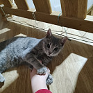 terezalove123_cz