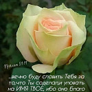 Mariana74