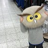 Puflik