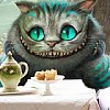 Kitty-cat