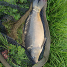 Rybarenivareni