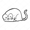 soraki