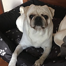 Alenaprochazkova03gmail.com