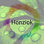 Honziok