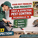 pflugervillepest