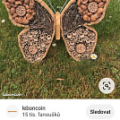 Motyl