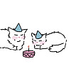 johyynkaa_