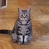 TeraN