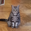 TeraN