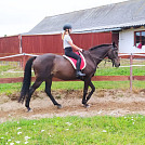 Klara1
