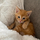StinkyFeet