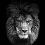 xLIONx