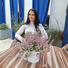 Haplinda