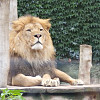Katunka