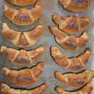 MazDaniela