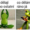 Moravcovalud@centrum.cz