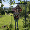 spicizelvicka@centrum.cz