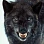 Wolfen