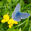 salsera@email.cz