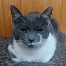 Olinka79