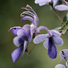 Magdalena39