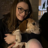Oklucia