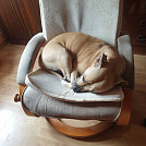 LibuseKacerova