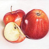 suson1