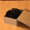 Rio.In.The.Box