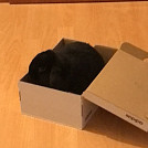 Rio.In.The.Box