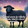 pacina11