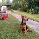 Lucie LB