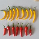 ChilliMaster