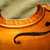 violino