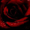 martina.tim