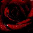 martina.tim