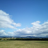 maraa