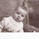 hanysek4
