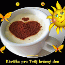 Evoceksvarcicek