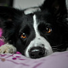 Lucy8465