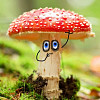 Muchuchlena