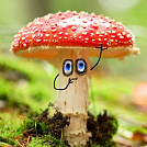 Muchuchlena