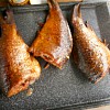 kudrnacmilan