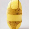 PointlessPotato