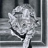 brblovka