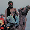 Zdenek Rajnis