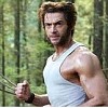 wolverin